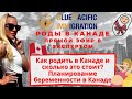 Роды в Канаде! Как родить ребёнка в Канаде и сколько это стоит?