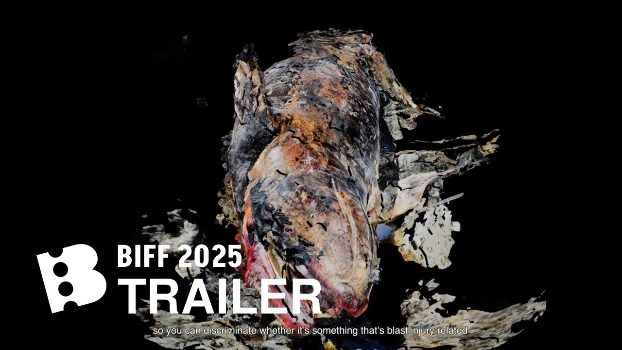 SIX KNOTS | Trailer | BIFF 2025