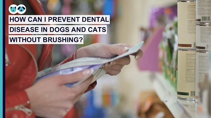 How to Clean Your Cat or Dog's Teeth Without Brush...