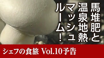 岩手県八幡平市「八幡平マッシュルーム」〜シェフの食旅vol.10【予告篇】〜