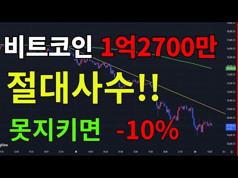 리플 비트코인 코인시장 폭락 끝났나?  바나코인 시바이누 버추얼프로토콜 체인링크