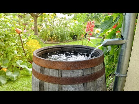Видео: Почему запрещено собирать дождевую воду?