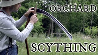 Scything tall grass in an orchard