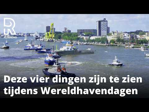 Wat te doen op de Wereldhavendagen in Rotterdam? | Rijnmond