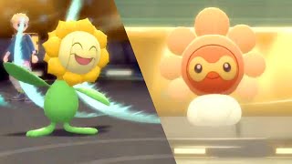 Never Used Sun Team vs. Over Used Team! | BDSP Wifi Battle