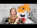 HOW TO GET RID OF SPIDERS IN MY HOUSE - AUTUMN SPIDER HACKS | PAIGE ELEANOR