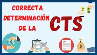How to calculate the CTS - Practical case 2022