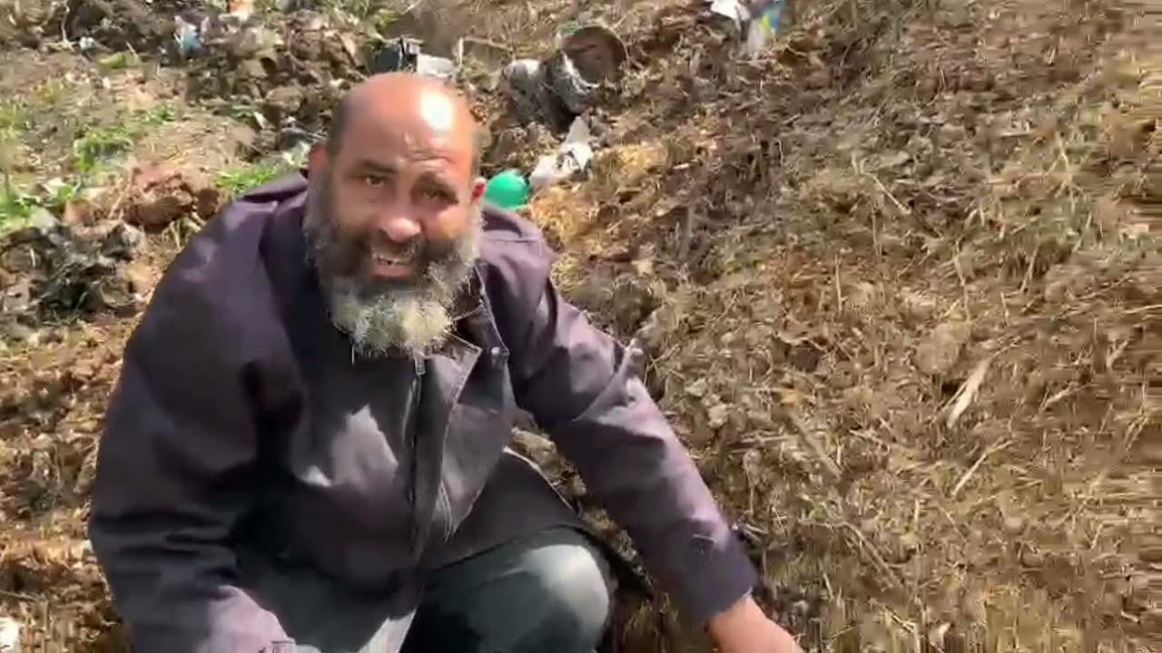 تربية دود الارض ##يمكن كل الناس تعملها## علي اكبر حسب الاستهلاك والغرض