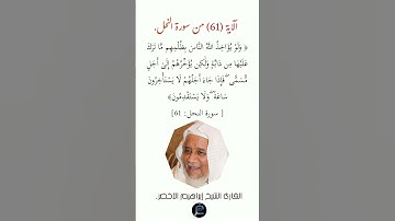 الآية (61)من سورة النحل// القارئ الشيخ إبراهيم الأخضر.