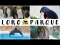 Tenerife Zoo - Loro Parque 🇪🇸🦁🐒🐬🦍