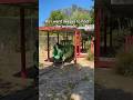 Animals left behind in abandoned zoo