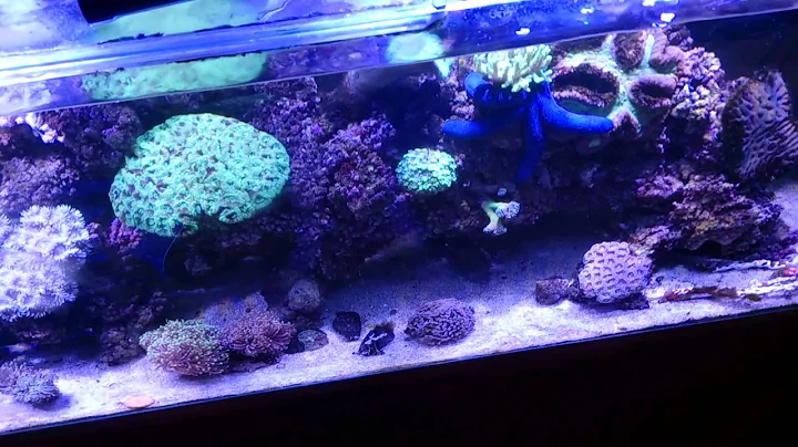 Be warned that raising temperature decreases dissolved oxygen in an aquarium!