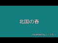 北国の春 covered by いっちー