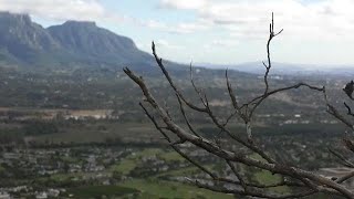 Ciudad del Cabo se queda sin agua