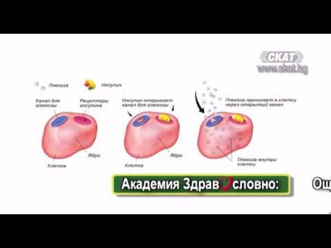 Видео: Съвети за управление на високо кръвна захар с диабет тип 2