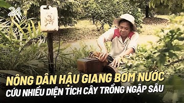 Bơm rút nước cứu vườn cây ăn trái | VTV24