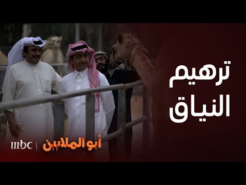 أبو الملايين الدكتور وضاح يبي يعطي النياق منشطات