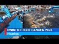 Swim to fight cancer 2023