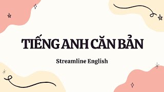 BASIC ENGLISH (UNIT 13B)