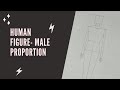 Human figure  male body proportion     humanfiguremalebodypropertionhumananatomy