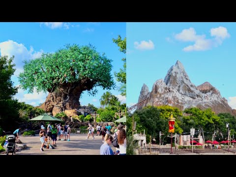 Disney's Animal Kingdom 2026 Beautiful Day Walkthrough in 4K | Walt Disney World September 2026