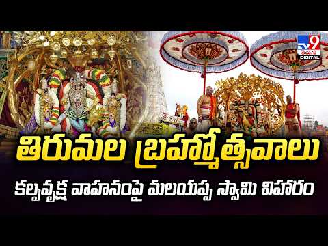 తిరుమల బ్రహ్మోత్సవాలు....కల్ప వృక్ష వాహనంపై మలయప్ప స్వామి విహారం - TV9