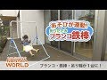 NONAKA WORLD　あそびが運動！折りたたみブランコ鉄棒 [ノナカワールド]