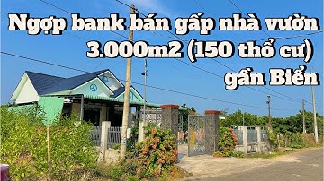 #423 Kẹt tiền bán gấp căn nhà vườn cực rộng gần ngay lối ra cao tốc Hồ Tràm XUYÊN MỘC BRVT