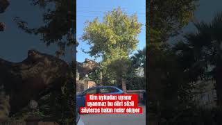 Kim Uykudan Uyanır Uyanmaz Bu Dört Sözü Söylerse.. Yoruma Yazalım Hayra Vesile Olalım