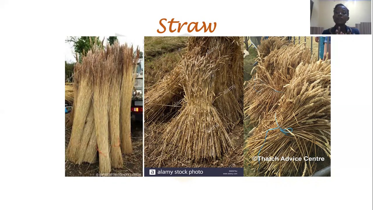 AGRICULTURAL SCIENCE ANIMAL NUTRITION SS2 WEEK 8 - YouTube