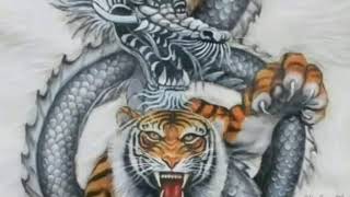 Story wa gambar dan suara harimau