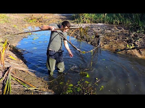 ловля рыбы на сачок видео ловля рыбы на сачок видео