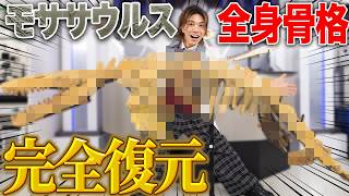バラバラだった骨を合体させて“モササウルス”を蘇らせてみた！
