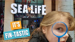 Sealife Centre Manchester Trafford Palazzo