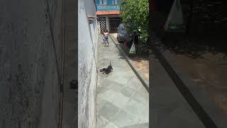 Brincando Com A Kiara