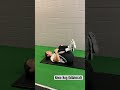 Knee Hug (bilateral)