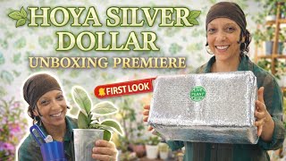 UNBOXING Hoya Silver Dollar 🍃🤭