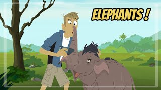 wild kratts - elephant Brain - full episode in English - Kratts series - #wildkratts