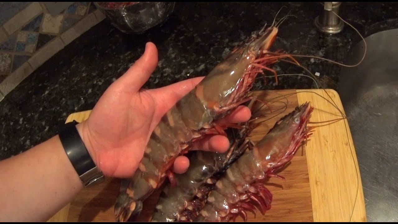 kimplante Grønne bønner underordnet Giant Shrimp! w/spicy Panko - YouTube