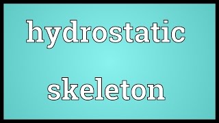 Hydrostatic skeleton Meaning