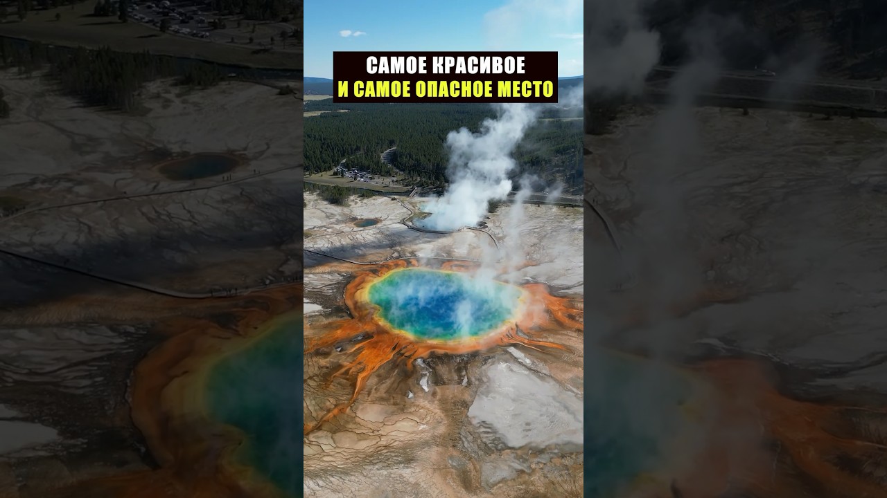 Опаснейшее чудо природы, способное уничтожить все живое