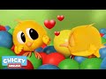 Where's Chicky? Funny Chicky 2020 | CHICKY LOVER | Chicky Cartoon in English for Kids