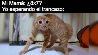Recuerdos de la infancia y de Vietnam al mismo tiempo | RDDC #260