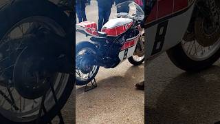 Yamaha TZ 750s Warming up