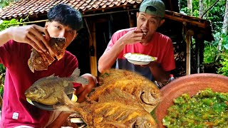 Download Lagu DIKASIH IKAN BAWAL LANGSUNG GORENG COWEL SAMBEL KOSREK LALAP SAYUR SINGKONG MP3