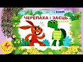 Черепаха і заєць/Езоп/байка (казка) мультфільм (мультик) байки езопа