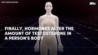 how female to male gender reassignment surgery works