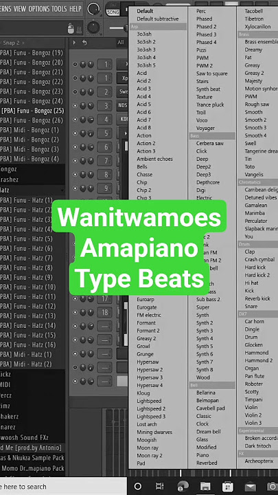 Wanitwamoes Entertainment Amapiano type beats / Master Kg / Lowsheen