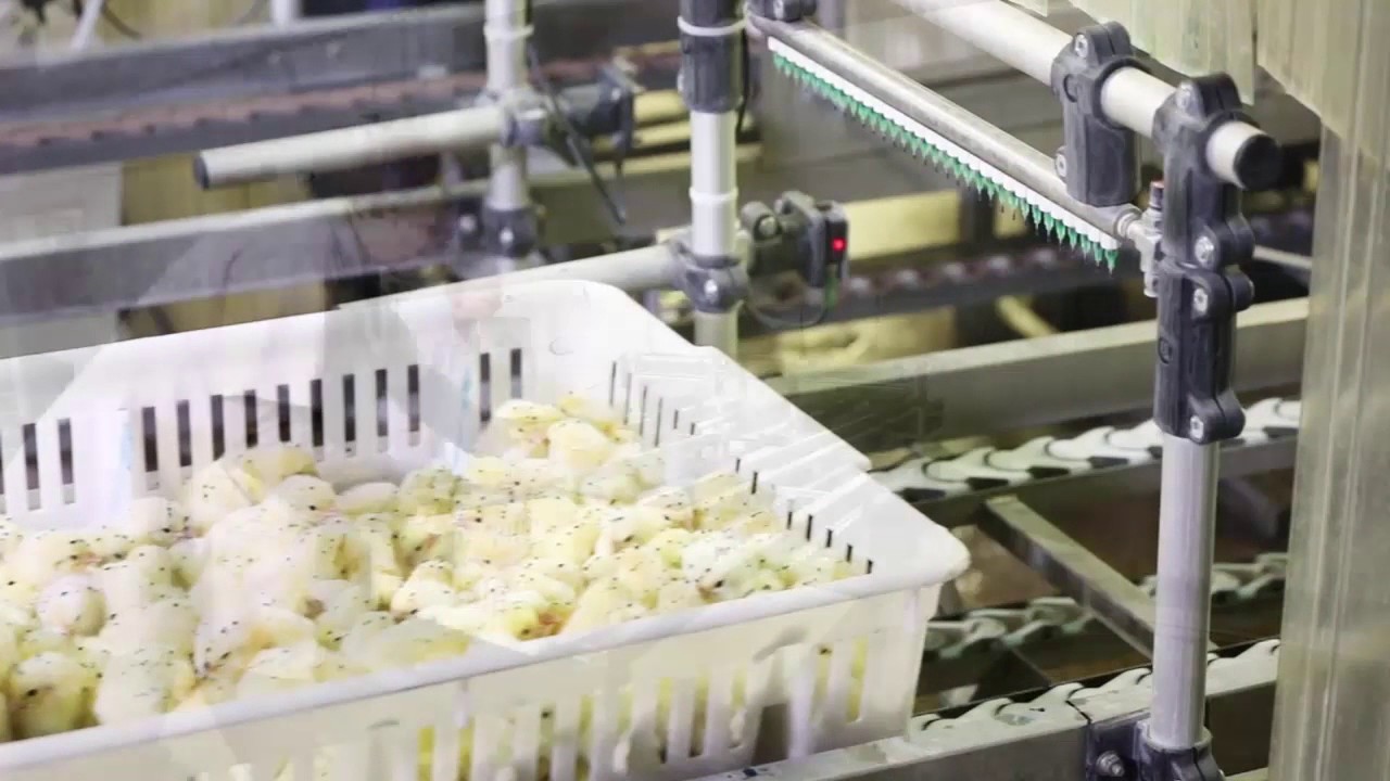 Ceva’s InLine Sprayer: innovatie in pluimvee vaccins - YouTube