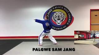 Palgwe Sam Jang
